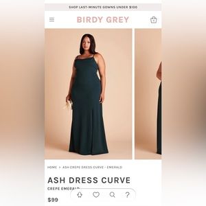 Birdy Grey ‘Ash’ style bridesmaids dress, size 16/2x